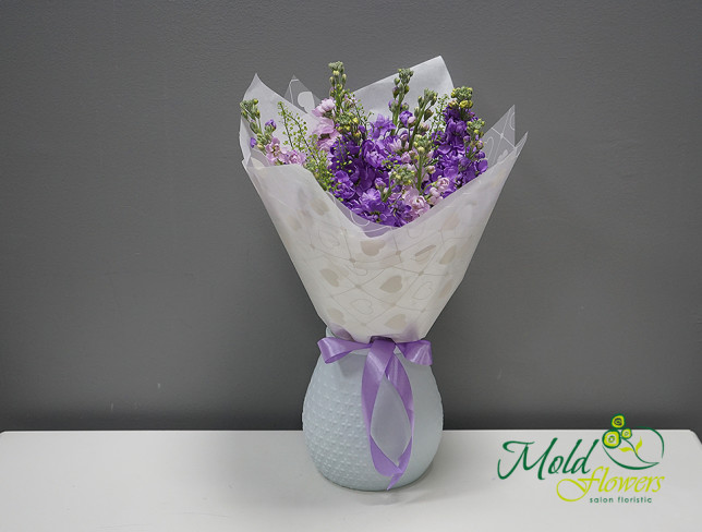 Bouquet of purple and violet stock flowers in a vase photo